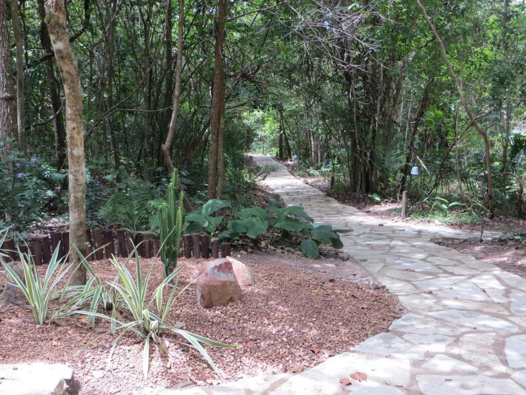 Pousada Eden - Conforto, Imersao E Natureza Sao Jorge  Exterior photo