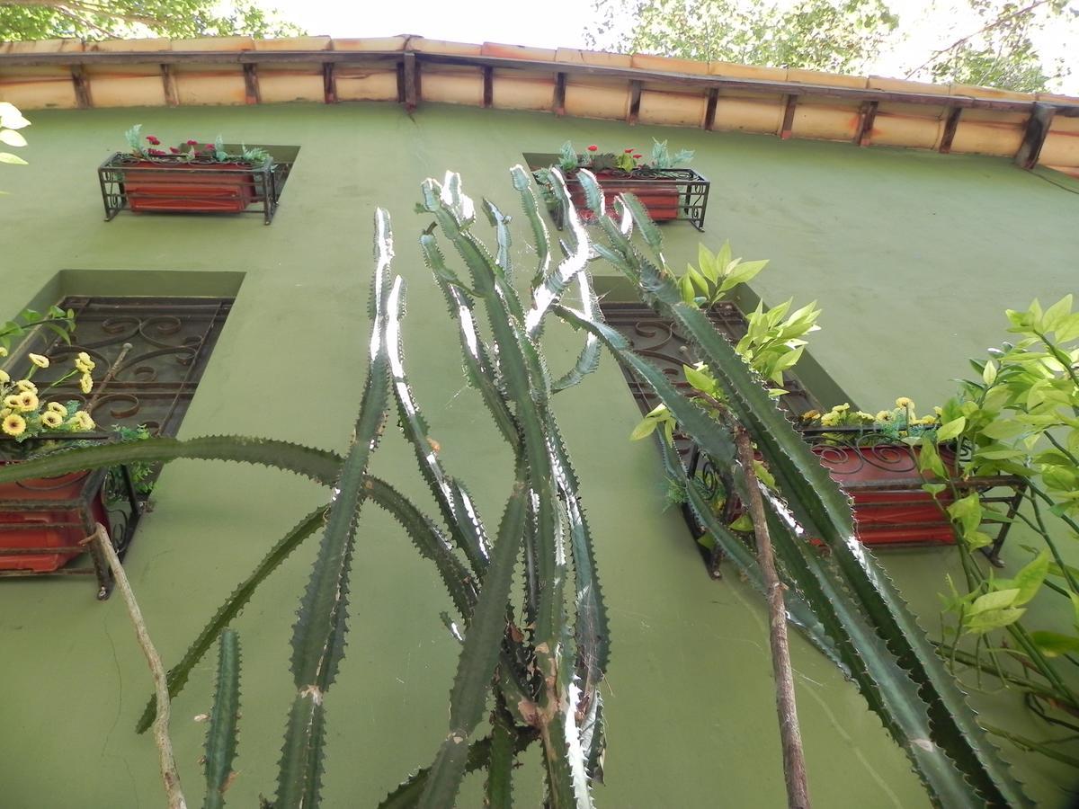 Pousada Eden - Conforto, Imersao E Natureza Sao Jorge  Exterior photo